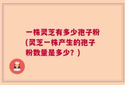 一株灵芝有多少孢子粉(灵芝一株产生的孢子粉数量是多少？)