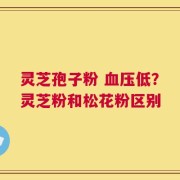 灵芝孢子粉 血压低？灵芝粉和松花粉区别