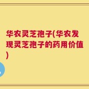 华农灵芝孢子(华农发现灵芝孢子的药用价值)