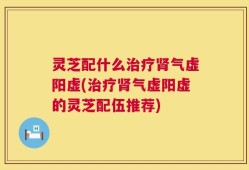 灵芝配什么治疗肾气虚阳虚(治疗肾气虚阳虚的灵芝配伍推荐)