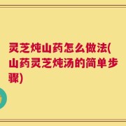 灵芝炖山药怎么做法(山药灵芝炖汤的简单步骤)
