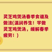 灵芝鸡煲汤春季食谱及做法(温润养生！学做灵芝鸡煲汤，缓解春季疲劳！)
