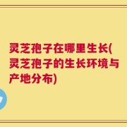 灵芝孢子在哪里生长(灵芝孢子的生长环境与产地分布)