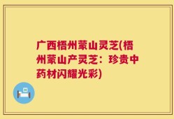 广西梧州蒙山灵芝(梧州蒙山产灵芝：珍贵中药材闪耀光彩)