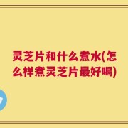 灵芝片和什么煮水(怎么样煮灵芝片最好喝)