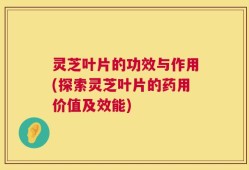 灵芝叶片的功效与作用(探索灵芝叶片的药用价值及效能)