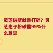 灵芝破壁就是打碎？灵芝孢子粉破壁99%什么意思