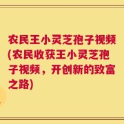 农民王小灵芝孢子视频(农民收获王小灵芝孢子视频，开创新的致富之路)