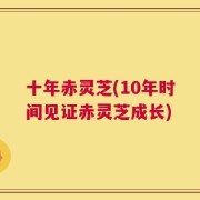 十年赤灵芝(10年时间见证赤灵芝成长)