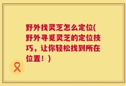 野外找灵芝怎么定位(野外寻觅灵芝的定位技巧，让你轻松找到所在位置！)