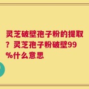 灵芝破壁孢子粉的提取？灵芝孢子粉破壁99%什么意思