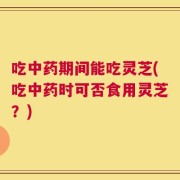 吃中药期间能吃灵芝(吃中药时可否食用灵芝？)