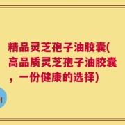 精品灵芝孢子油胶囊(高品质灵芝孢子油胶囊，一份健康的选择)