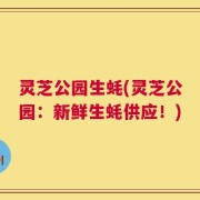 灵芝公园生蚝(灵芝公园：新鲜生蚝供应！)