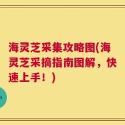 海灵芝采集攻略图(海灵芝采摘指南图解，快速上手！)
