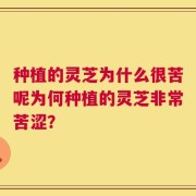 种植的灵芝为什么很苦呢为何种植的灵芝非常苦涩？
