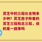 灵芝中的三萜化合物多少种？灵芝孢子粉里的灵芝三萜和总三萜，说的是一回事吗