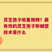 灵芝孢子收集视频？最有效的灵芝孢子粉破壁技术是什么