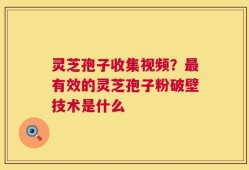 灵芝孢子收集视频？最有效的灵芝孢子粉破壁技术是什么