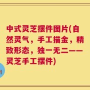 中式灵芝摆件图片(自然灵气，手工描金，精致形态，独一无二——灵芝手工摆件)