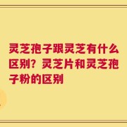 灵芝孢子跟灵芝有什么区别？灵芝片和灵芝孢子粉的区别