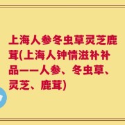 上海人参冬虫草灵芝鹿茸(上海人钟情滋补补品——人参、冬虫草、灵芝、鹿茸)