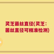 灵芝菌丝直径(灵芝：菌丝直径可精准检测)