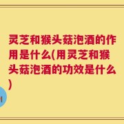 灵芝和猴头菇泡酒的作用是什么(用灵芝和猴头菇泡酒的功效是什么)