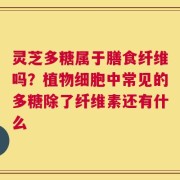 灵芝多糖属于膳食纤维吗？植物细胞中常见的多糖除了纤维素还有什么