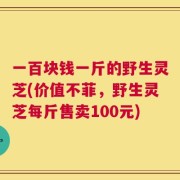 一百块钱一斤的野生灵芝(价值不菲，野生灵芝每斤售卖100元)