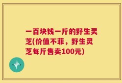 一百块钱一斤的野生灵芝(价值不菲，野生灵芝每斤售卖100元)