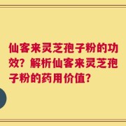 仙客来灵芝孢子粉的功效？解析仙客来灵芝孢子粉的药用价值？
