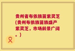 贵州省布依族苗紫灵芝(贵州布依族苗族盛产紫灵芝，市场前景广阔。)