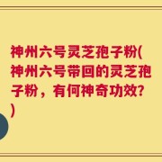 神州六号灵芝孢子粉(神州六号带回的灵芝孢子粉，有何神奇功效？)