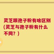 灵芝跟孢子粉有啥区别(灵芝与孢子粉有什么不同？)