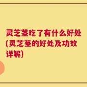 灵芝茎吃了有什么好处(灵芝茎的好处及功效详解)