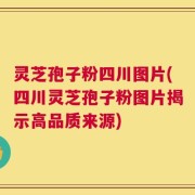 灵芝孢子粉四川图片(四川灵芝孢子粉图片揭示高品质来源)