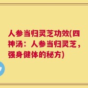 人参当归灵芝功效(四神汤：人参当归灵芝，强身健体的秘方)