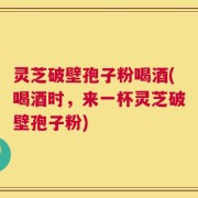 灵芝破壁孢子粉喝酒(喝酒时，来一杯灵芝破壁孢子粉)