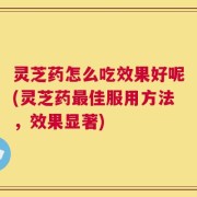灵芝药怎么吃效果好呢(灵芝药最佳服用方法，效果显著)