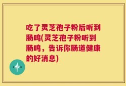 吃了灵芝孢子粉后听到肠鸣(灵芝孢子粉听到肠鸣，告诉你肠道健康的好消息)