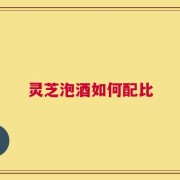 灵芝泡酒如何配比