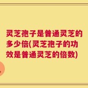灵芝孢子是普通灵芝的多少倍(灵芝孢子的功效是普通灵芝的倍数)