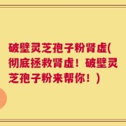 破壁灵芝孢子粉肾虚(彻底拯救肾虚！破壁灵芝孢子粉来帮你！)