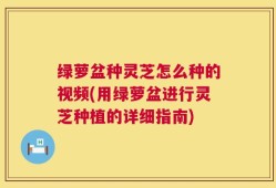 绿萝盆种灵芝怎么种的视频(用绿萝盆进行灵芝种植的详细指南)