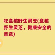 吃盒装野生灵芝(盒装野生灵芝，健康安全的首选)