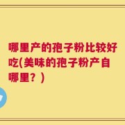 哪里产的孢子粉比较好吃(美味的孢子粉产自哪里？)
