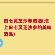 田七灵芝沙参泡酒(泡上田七灵芝沙参的美味酒品)
