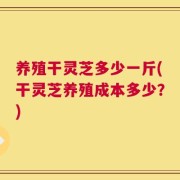 养殖干灵芝多少一斤(干灵芝养殖成本多少？)