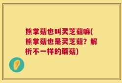 熊掌菇也叫灵芝菇嘛(熊掌菇也是灵芝菇？解析不一样的蘑菇)